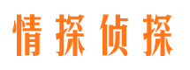 眉山找人公司